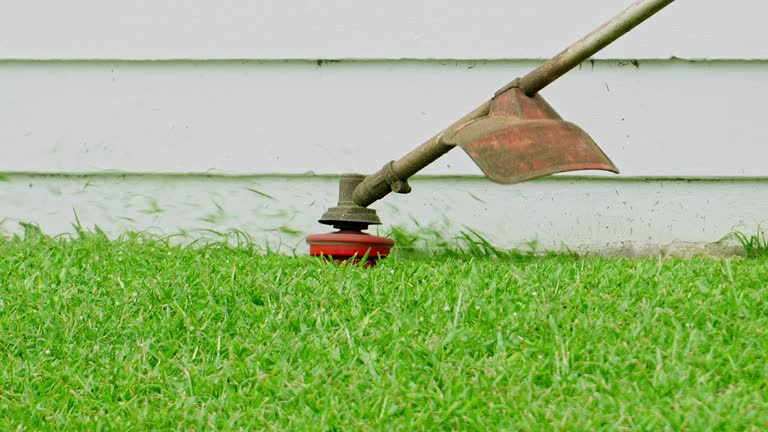 Best Lawn Irrigation Installation and Maintenance  in Benton Park, CA